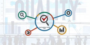 User Acceptance Testing (UAT)